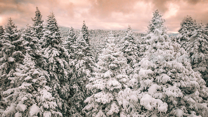 冰冻的冬季森林，日落时的雪林鸟瞰图，雪山上的森林鸟瞰图，雪树景观，冬季森林景观，冬季休闲场景，阳光明媚的雪季，橙色的天空