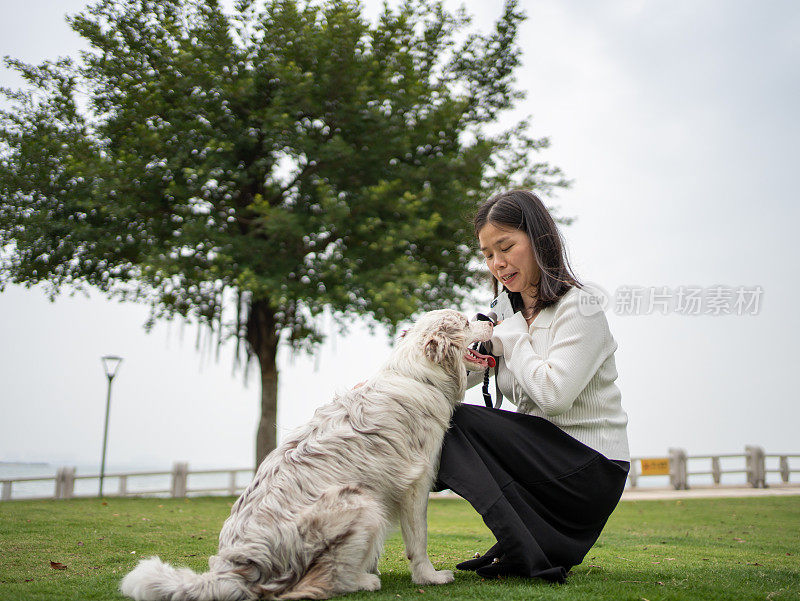 女人和狗在草地上休息