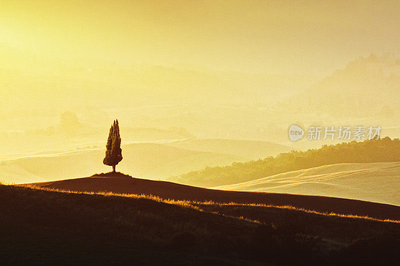 日出时托斯卡纳孤独的柏树——意大利风景