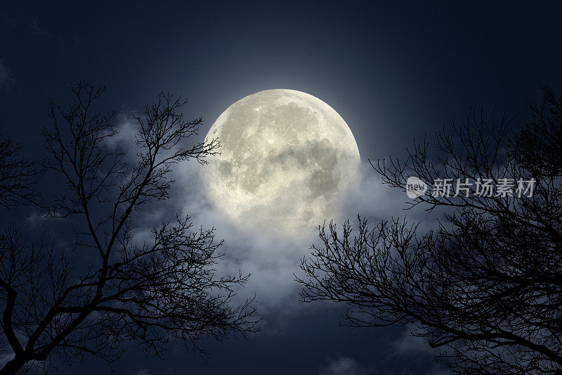 满月的夜空