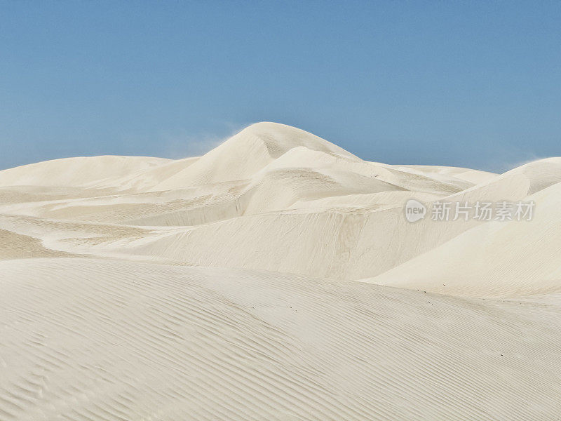 澳大利亚西部的白色沙丘