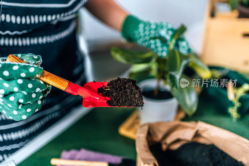 一名妇女正在给室内植物重新盆栽