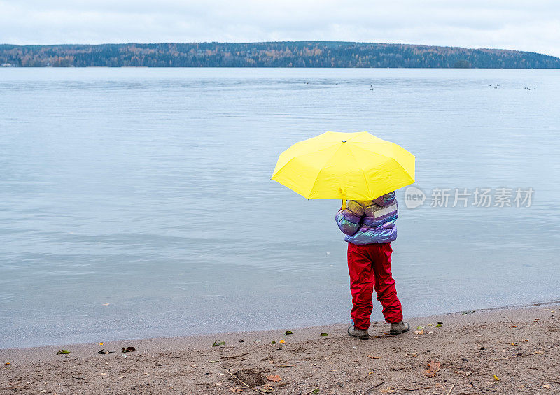 一个8岁的小女孩站在湖边，撑着一把黄色的大伞，欣赏着秋天的风景。后视图。