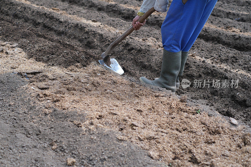 难以辨认的亚洲农民用铁锹犁地