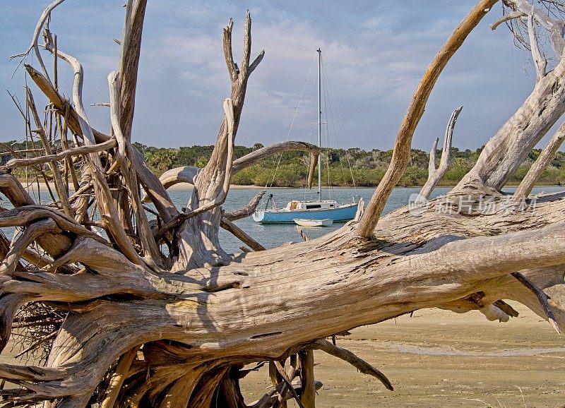 帆船停泊在马坦萨斯入口附近的保护水域，周围是大浮木