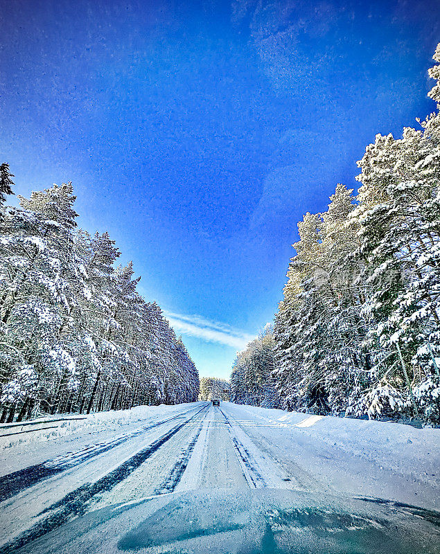 冬季公路穿过冬云杉树林。