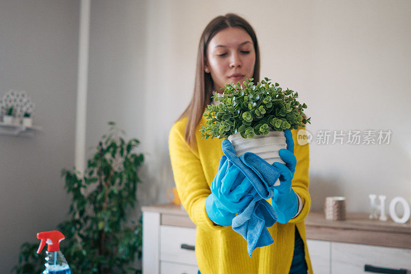 年轻迷人的女人在家里照顾她的植物。她在客厅里。