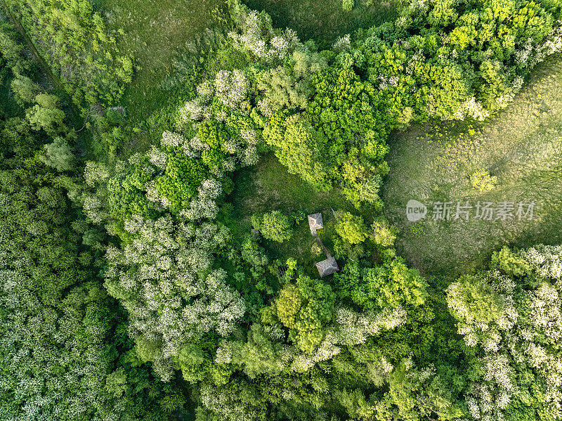 全景式的山在春天被森林和草地覆盖