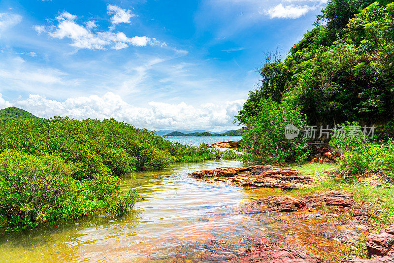 印洲塘海岸公园荔枝窝的乡村景色