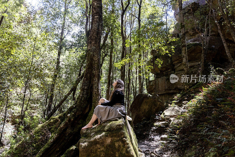 年轻女子坐在雨林中，看着树梢，背景与复制空间