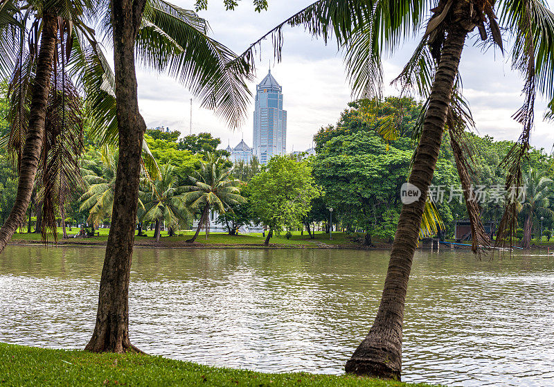 隆皮尼公园周围的建筑、树木和池塘景观。泰国曼谷市中心。
