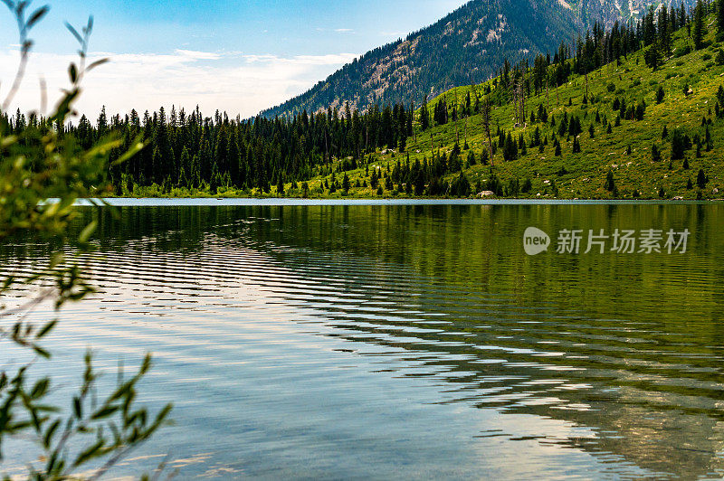 怀俄明州大提顿国家公园的令人惊叹的弦湖，夏天的天然冰川湖和山脉