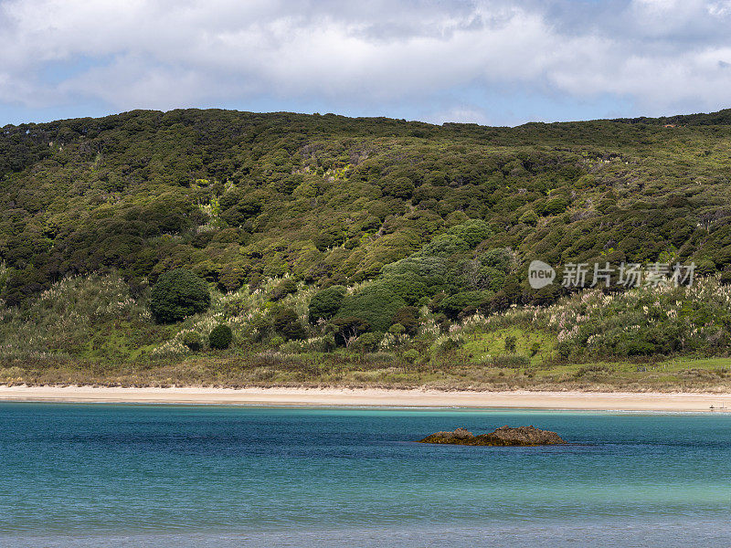 新西兰北部地区的海滩和海岸线