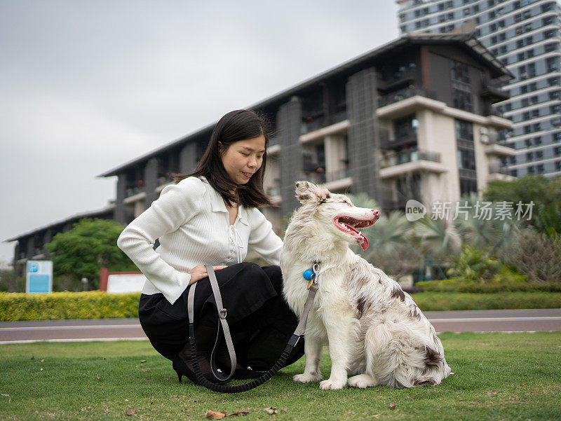 一名妇女在户外与柯利牧羊犬玩耍