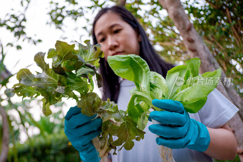 手持绿叶植物的女园丁。