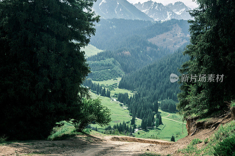 夏日清晨美丽的山景