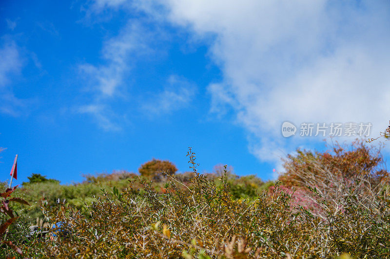 汉罗山的绿色和天空(济州岛)