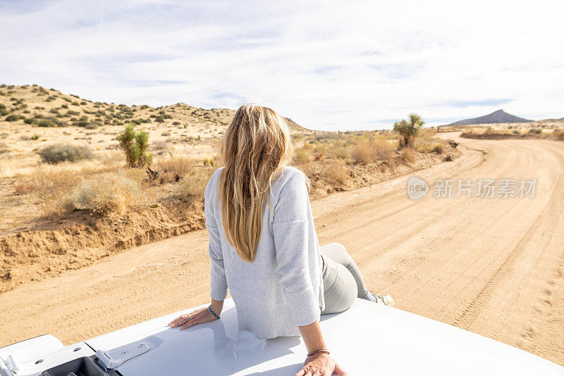宁静的远景:一个女人从汽车引擎盖上凝视着野性的大自然