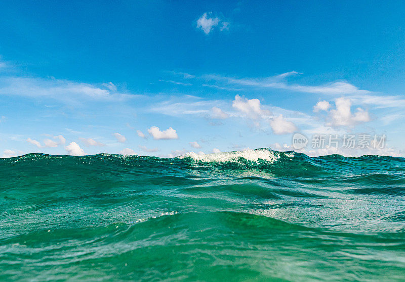 海洋风景优美，水下有海天浪，海滩有佛罗里达棕榈滩