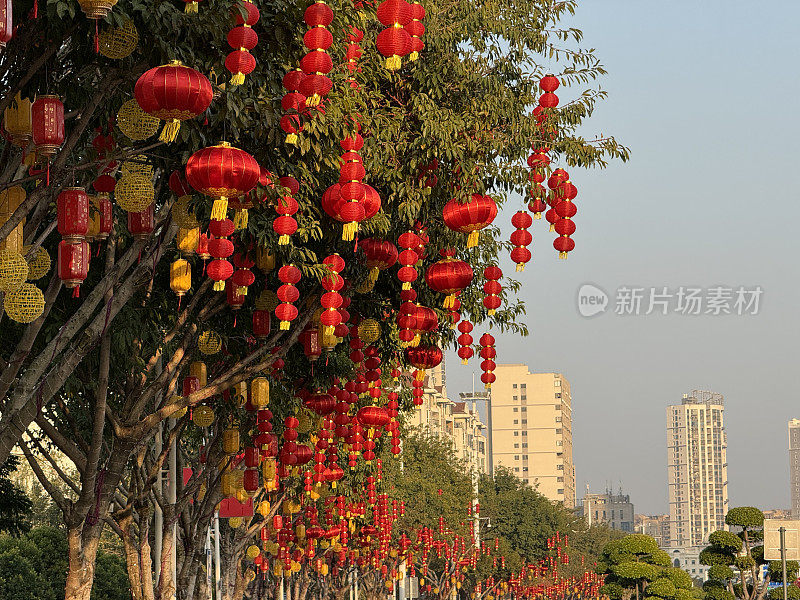 中国春节行道树上挂满了喜庆的灯笼