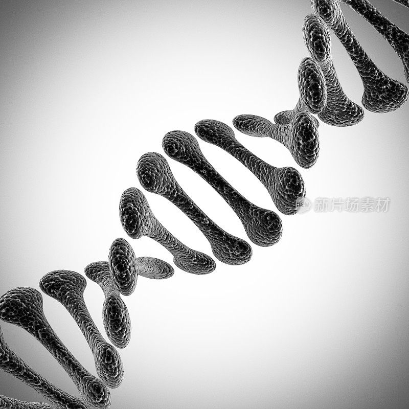 单DNA科学说明