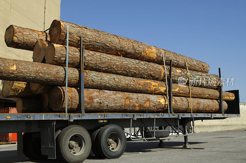 伐木车准备运输