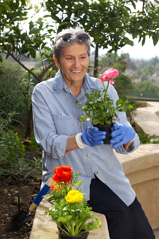 快乐的年长妇女在室外与盆栽花卉园艺