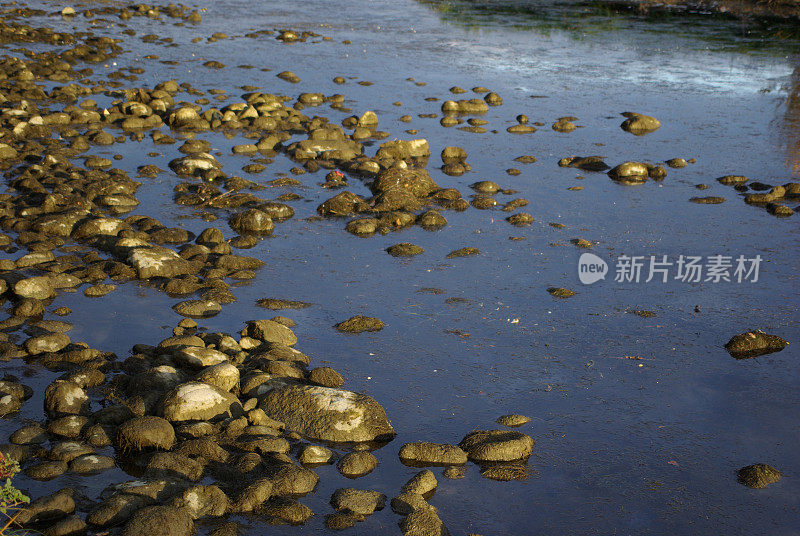 清晨小河支流