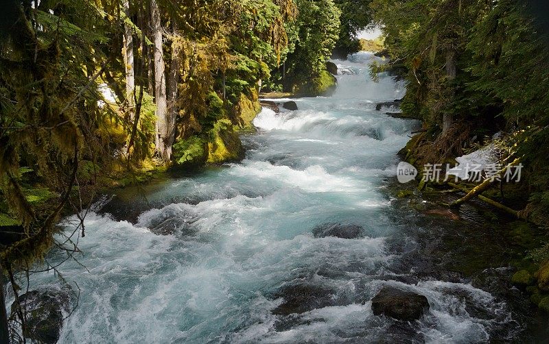 上麦肯齐雷水