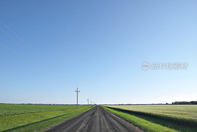 乡村土路，清晨