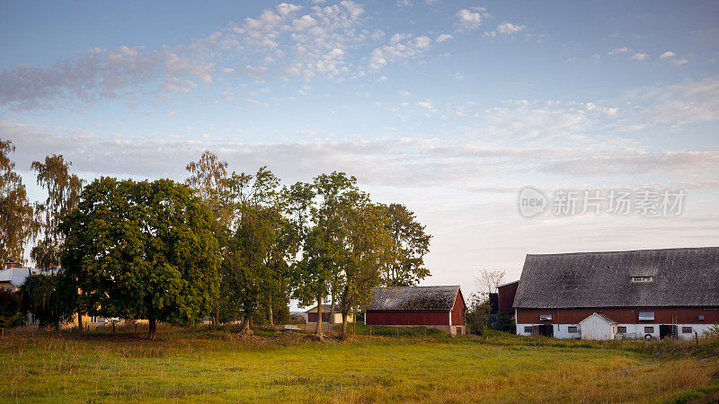 夏天的田野和红色的谷仓
