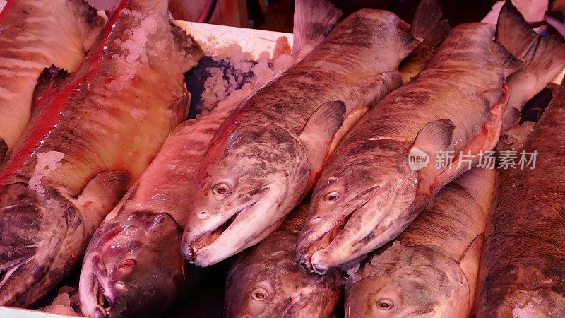 鲜鱼市场的鲑鱼
