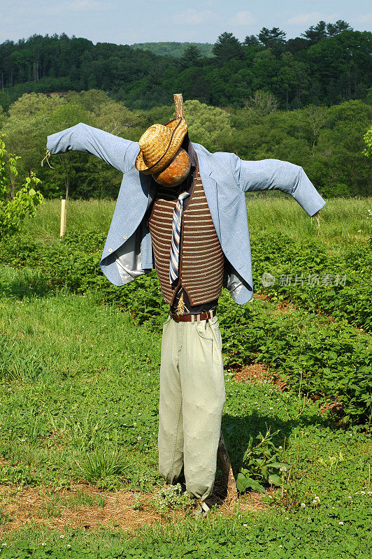 穿西装打领带的稻草人