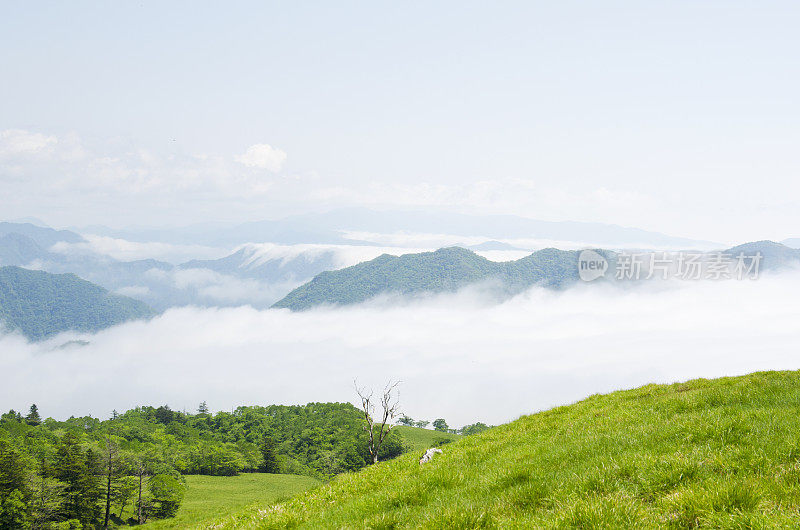 不好的风景