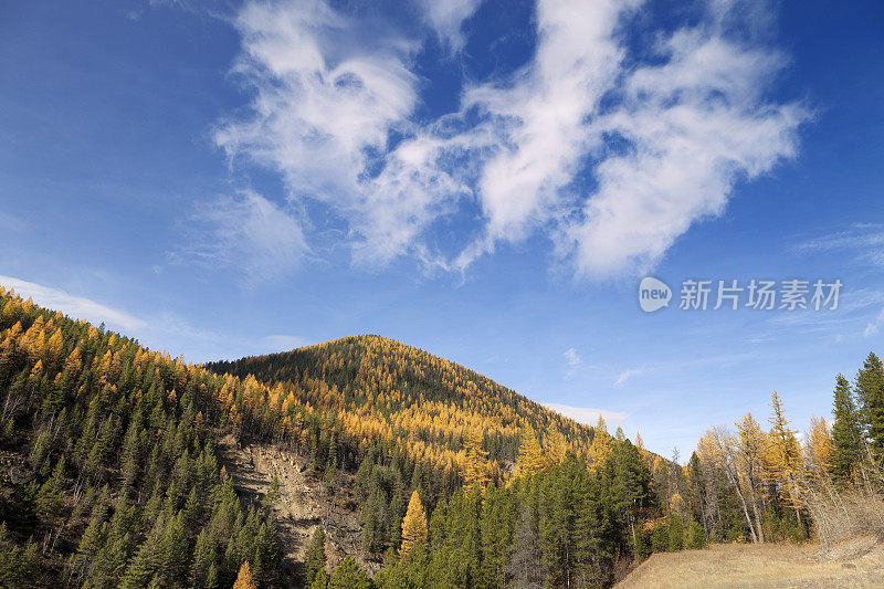 蒙大拿秋天的风景