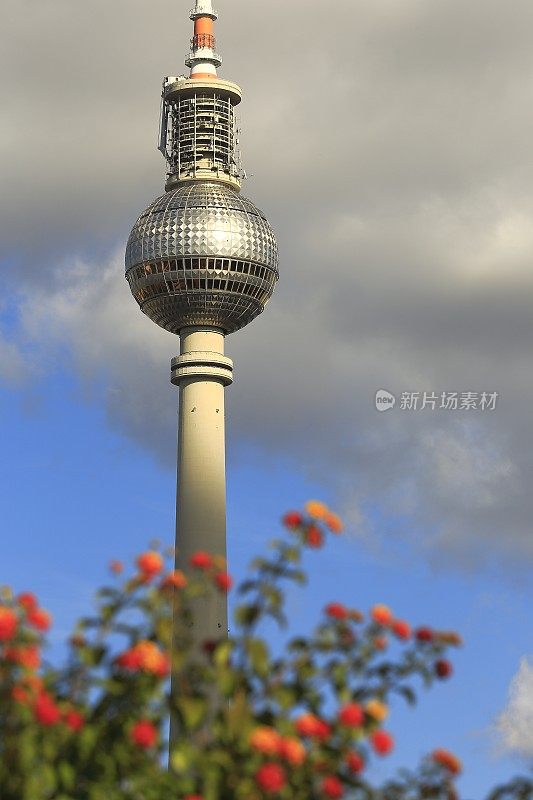 柏林Fernsehturm上面的花