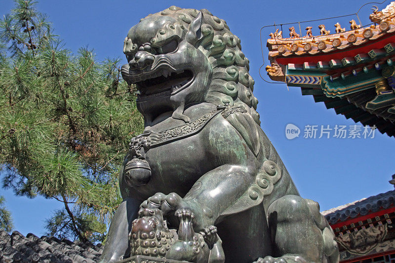 狮子的力量(北京)