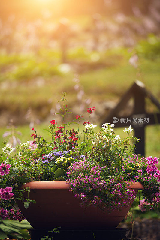 墓地里的鲜花