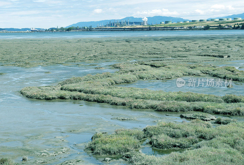 华盛顿州的滩涂和炼油厂