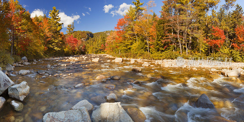 河流穿过秋天的树叶，斯威夫特河，新罕布什尔州，美国