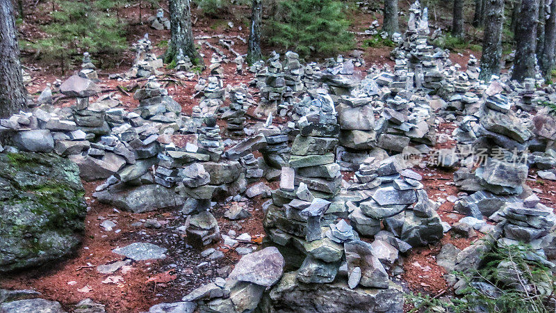 白色岩石悬崖小径，岩石堆堆栈，黄昏森林，佛蒙特州