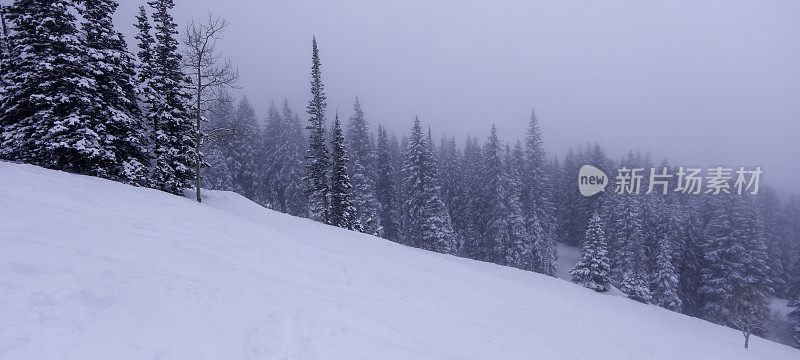 下雪高山温特兰