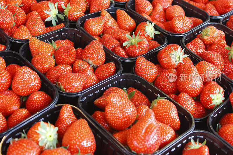 市面上出售的草莓全画幅