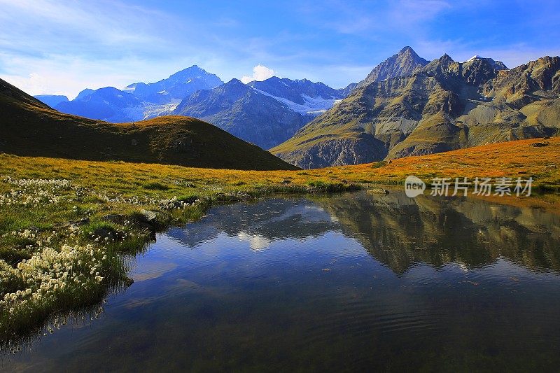 湖面倒映着瑞士的阿尔卑斯山，棉花野花田，泽马特