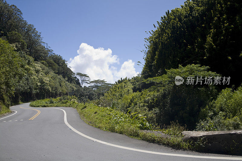 弯曲的双车道热带公路