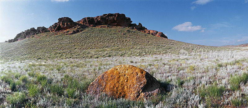 春天。Bogo山的砂岩。