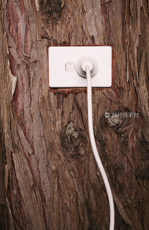 电源线插在树干上