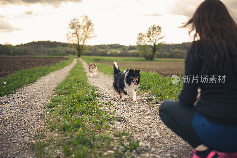 年轻孕妇和她的狗在户外