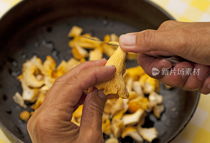 金色的鸡油菌菇