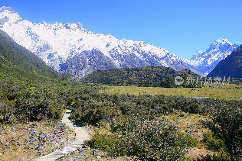 步行小径雄伟的库克雪山山脉和冰川从胡克格林山谷，坎特伯雷，田园诗般的南新西兰